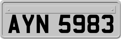AYN5983