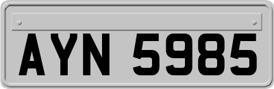 AYN5985
