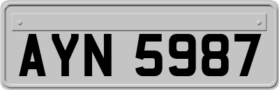 AYN5987