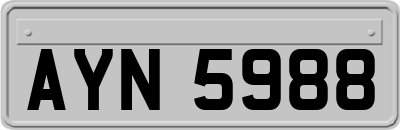 AYN5988