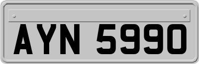 AYN5990
