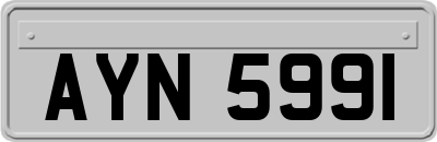 AYN5991
