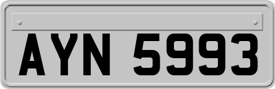 AYN5993