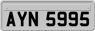 AYN5995