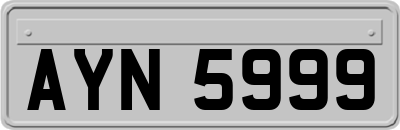 AYN5999