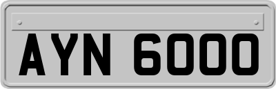 AYN6000