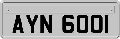 AYN6001