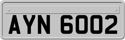 AYN6002
