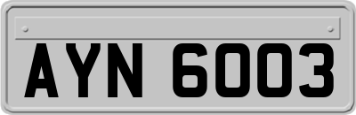 AYN6003