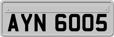 AYN6005