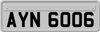 AYN6006