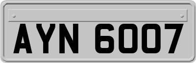 AYN6007