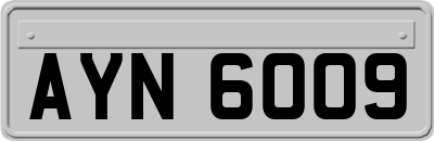 AYN6009