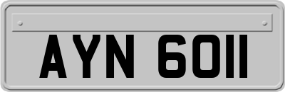 AYN6011