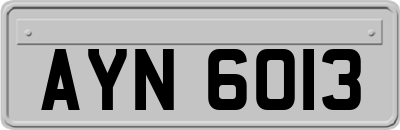 AYN6013