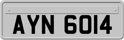 AYN6014