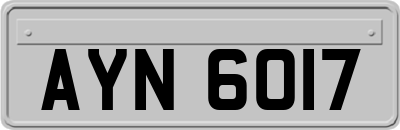 AYN6017