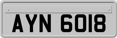 AYN6018