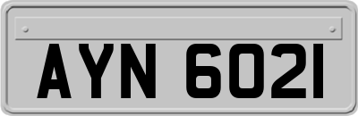 AYN6021