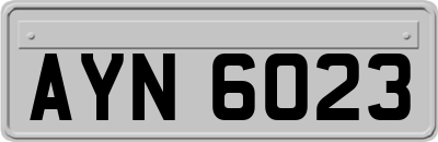 AYN6023