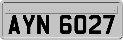 AYN6027