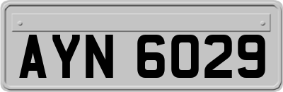 AYN6029