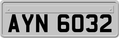 AYN6032