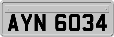 AYN6034