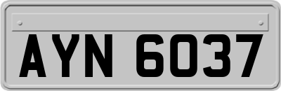AYN6037