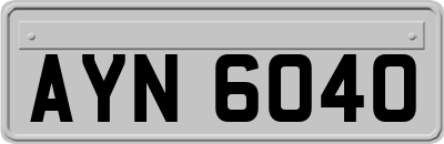 AYN6040