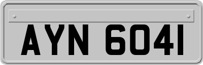 AYN6041