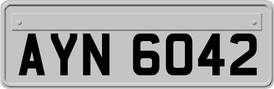 AYN6042