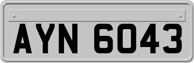 AYN6043