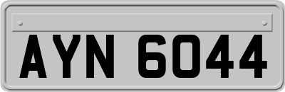 AYN6044