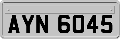 AYN6045