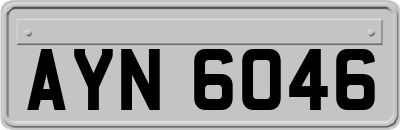 AYN6046
