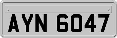 AYN6047