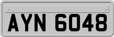 AYN6048
