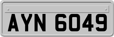 AYN6049