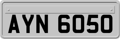 AYN6050