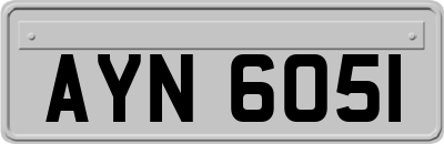 AYN6051