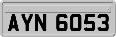 AYN6053