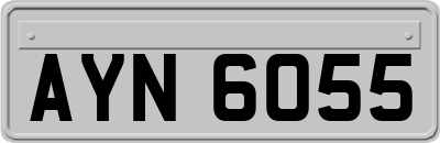 AYN6055