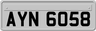 AYN6058