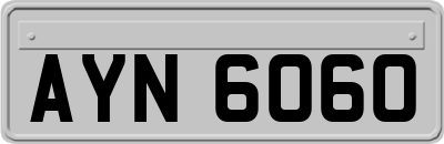 AYN6060