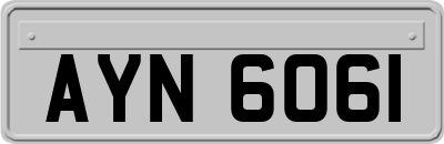 AYN6061