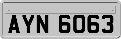 AYN6063