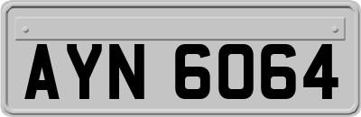 AYN6064