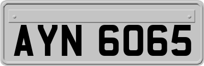 AYN6065