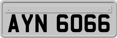 AYN6066